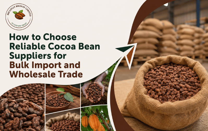 How to Choose Reliable Cocoa Bean Suppliers for Bulk Import and Wholesale Trade