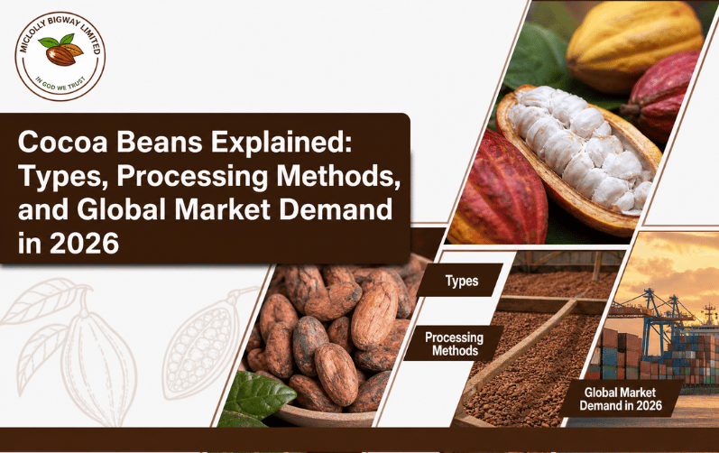 Cocoa Beans Explained: Types, Processing Methods, and Global Market Demand in 2026