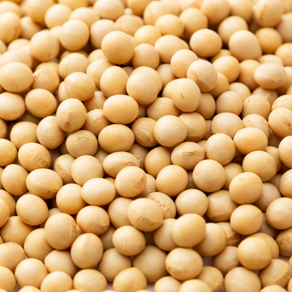 Soybeans 