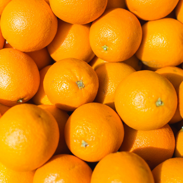 Valencia Oranges
